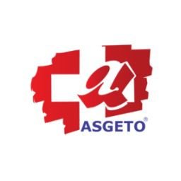 Asgeto Partner